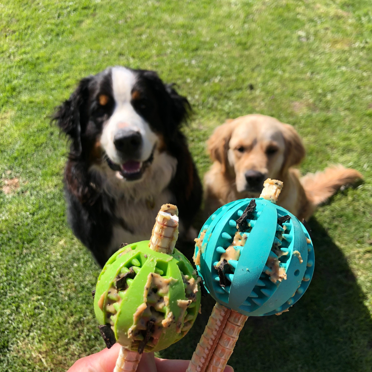 Dog Dental Treat Ball