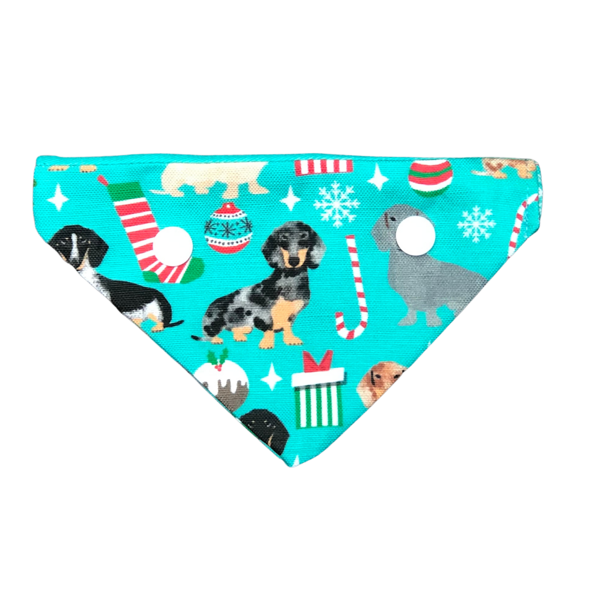 Dachshund Bandana