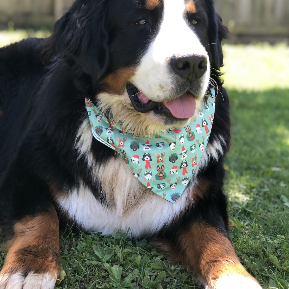 Festive Dogs Bandana