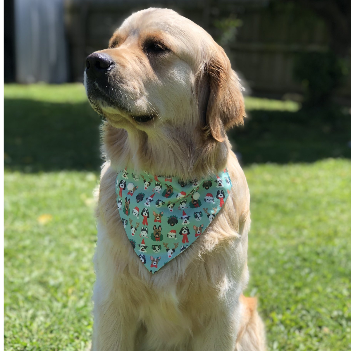 Festive Dogs Bandana