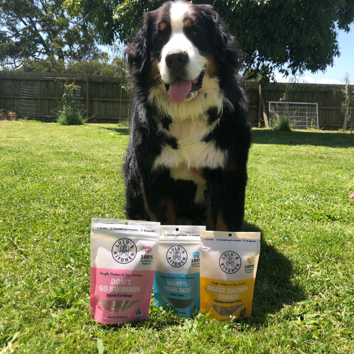 healthy dog treats