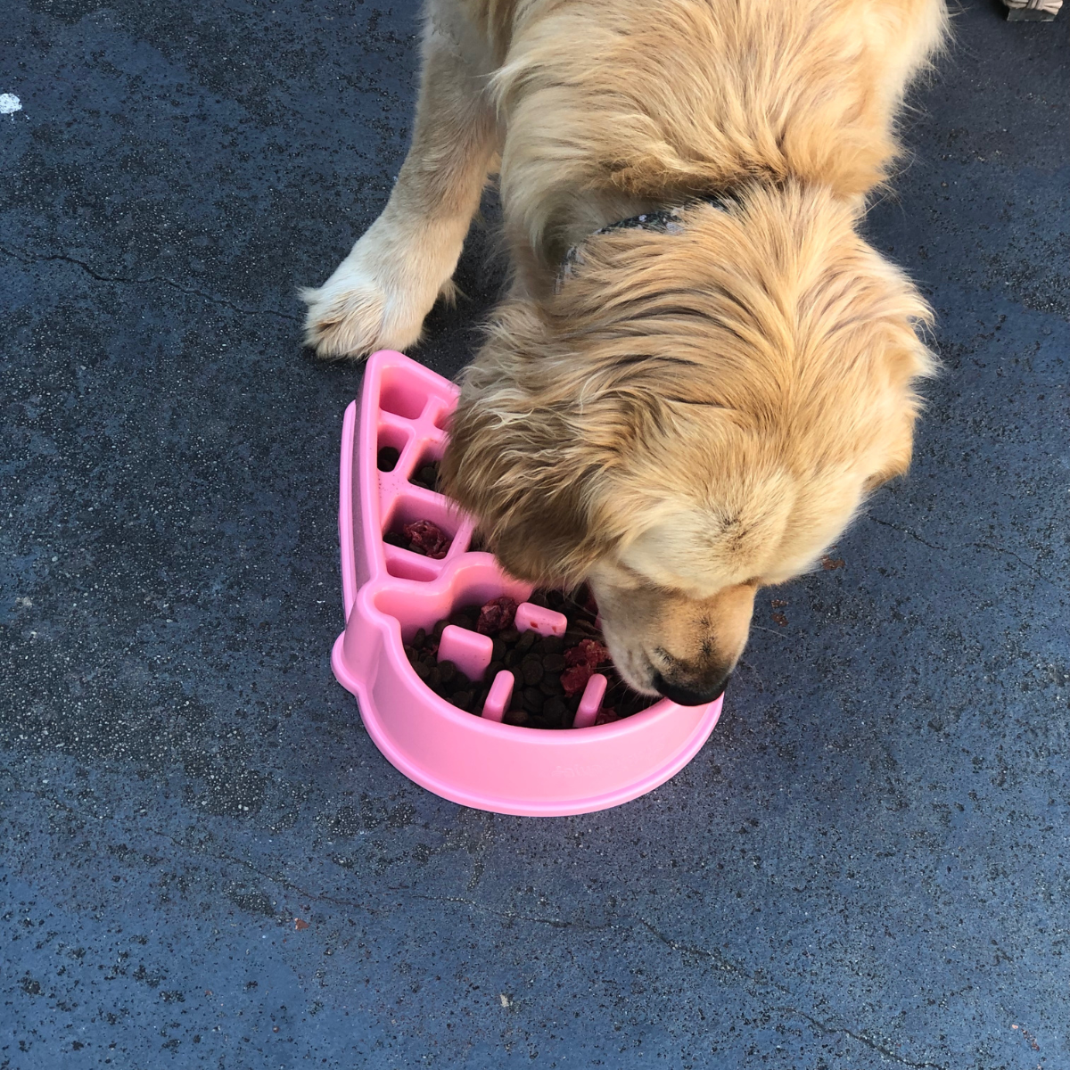 Happy Bowl Ice Cream