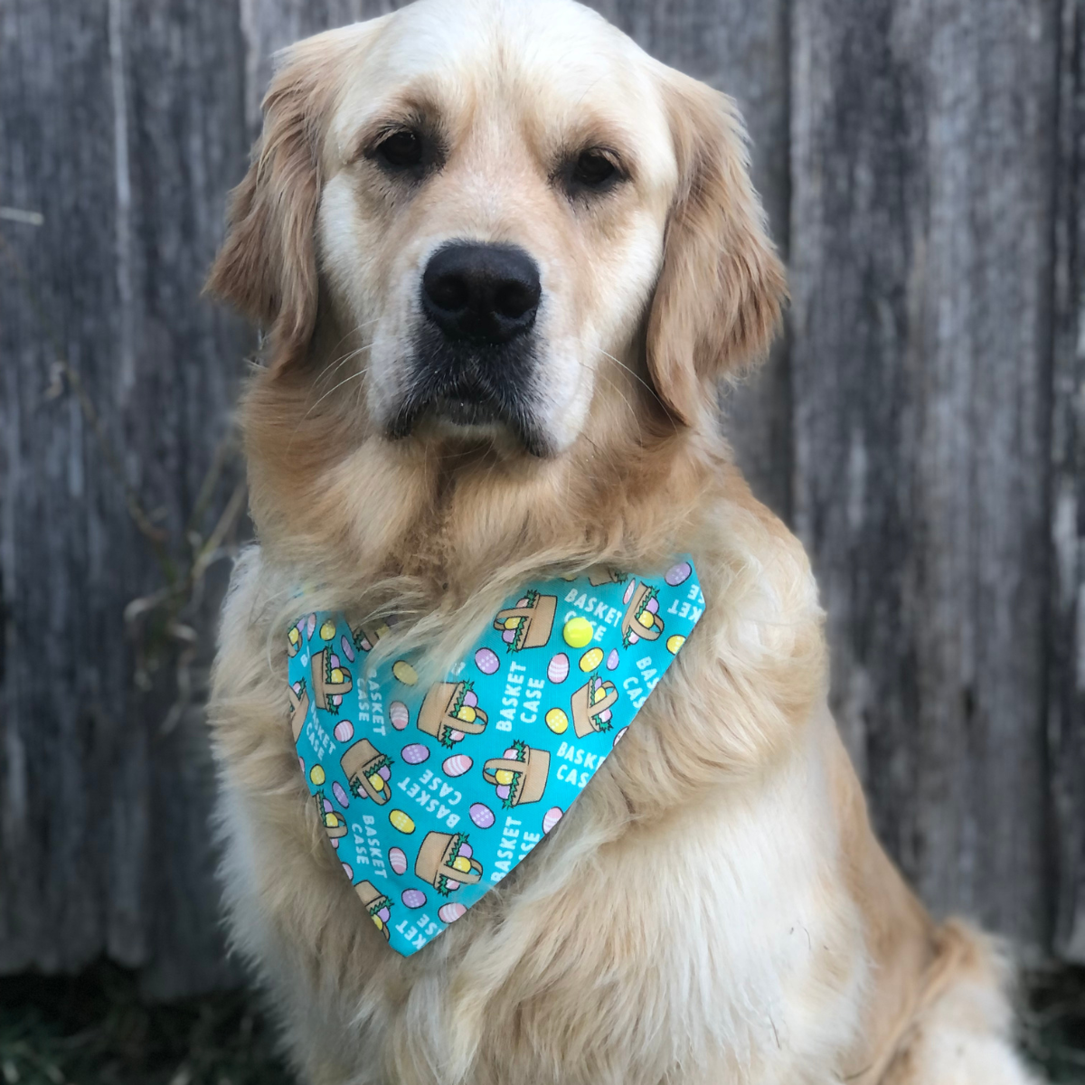 Basket Case Easter Bandana