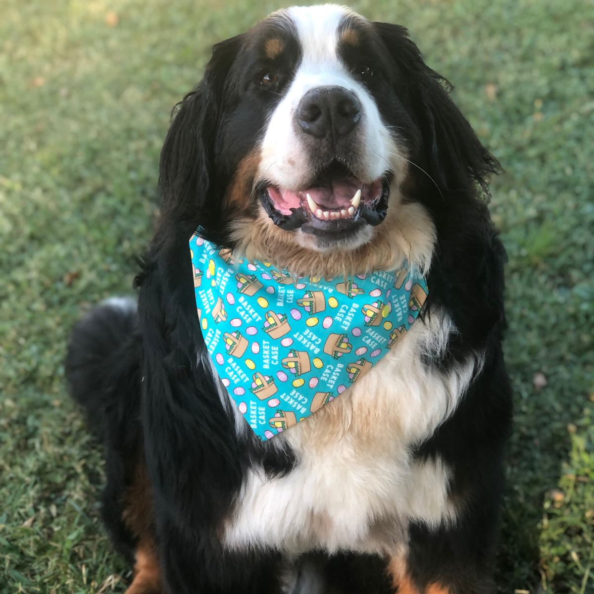 Basket Case Easter Bandana